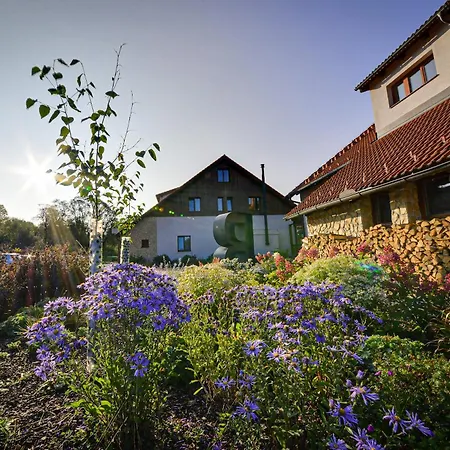 Hotel Orsino 4*