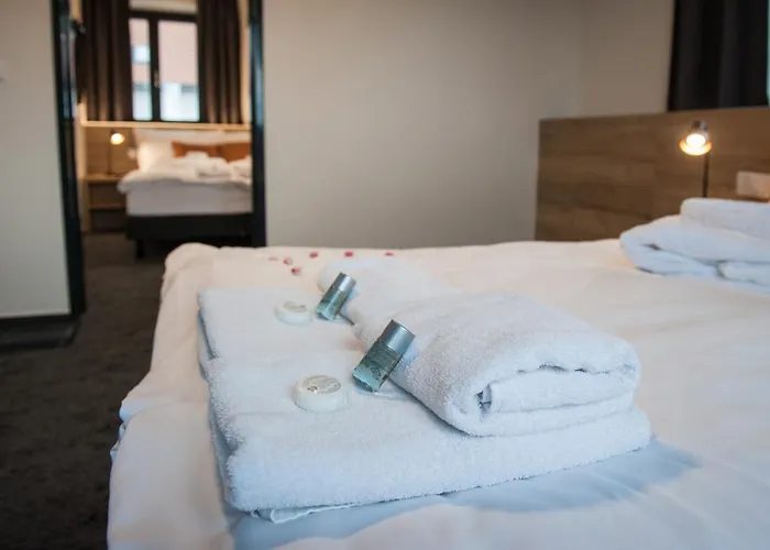 Hotel Orsino Horní Planá